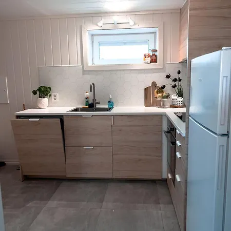 Apartment Oslo Airport 30 Min Calm And Cozy *