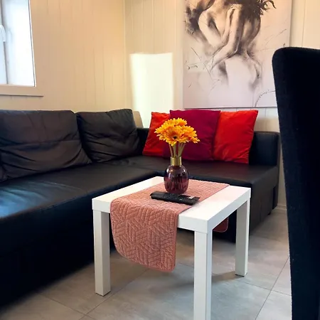 Apartament Oslo Airport 30 Min Calm And Cozy *